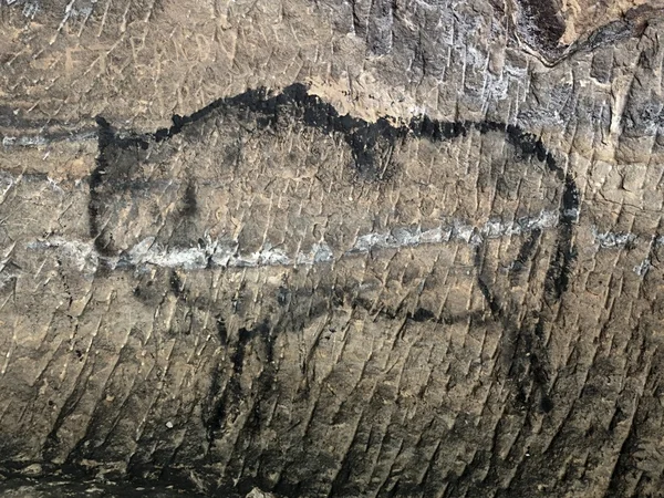 A barlang művészet. Fekete szén-dioxid-festék bölény — Stock Fotó