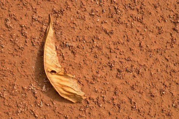 Droge chestnut leaf op de tennisbaan. Droge rode geplette oppervlak — Stockfoto