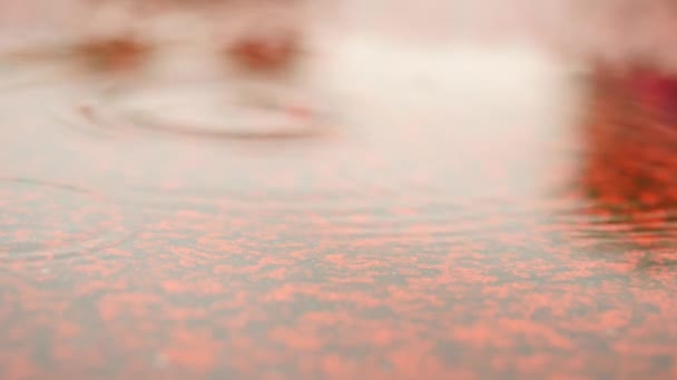 Llueve en pista de carreras en el estadio del campus. Agua en el suelo. Textura roja del hipódromo bajo el nivel del agua del espejo, caucho rojo en el estadio al aire libre . — Vídeos de Stock