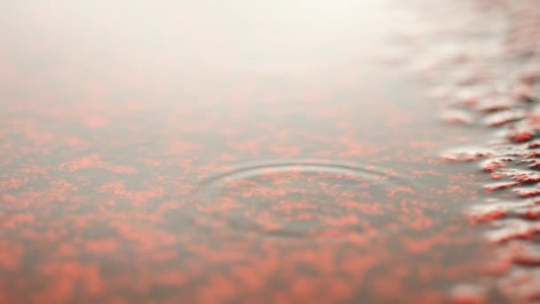 Llueve en pista de carreras en el estadio del campus. Agua en el suelo. Textura roja del hipódromo bajo el nivel del agua del espejo, caucho rojo en el estadio al aire libre . — Vídeos de Stock