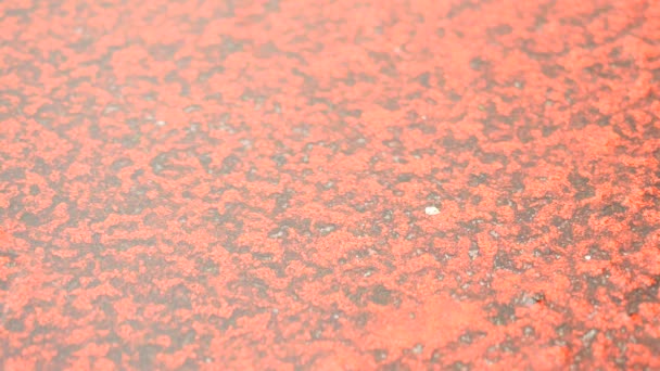 Дождь на ипподроме на стадионе кампуса. Вода на земле. Красная текстура беговой дорожки под зеркальным уровнем воды, красная резина на открытом стадионе . — стоковое видео