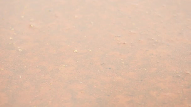 캠퍼스 경기장에서 경마장에 비가. 바닥에 물. 야외 경기장에서 실행 하는 거울 수 위, 빨간 고무 아래 경마장의 빨간 텍스처. — 비디오