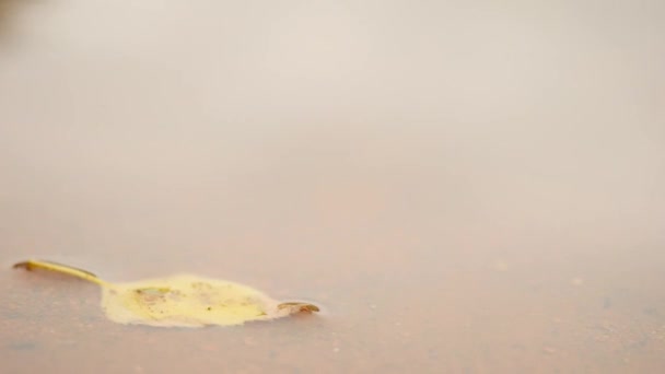 День дождей. Вода на теннисном корте. Желтый березовый лист в водном пруду на светло-красной измельченной поверхности глины. Облака в зеркале уровня воды, красная площадка на открытом стадионе . — стоковое видео