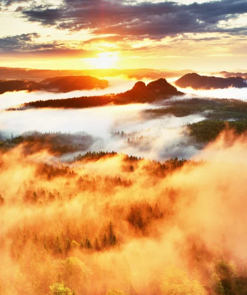 Filtro rosso foto. Cime scure di colline in un vicolo nebbioso — Foto Stock