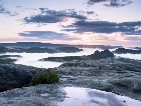 Paysage dans le miroir d'eau. Éveil brumeux dans un magnifique parc montagneux — Photo