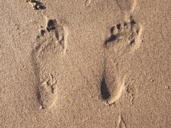 Huella de hombre y mujer en arena de playa húmeda —  Fotos de Stock