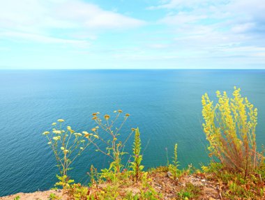 Deniz seviyesinden görünümü noktasında çimen saman. Çiçek sapları