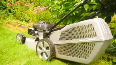 Çim biçme makinesi çimenlerde çalışıyor. Bahçıvan gri yanma motoru çim biçme makinesi ile çim kesme. Çimlerde düşük açı ateş. 