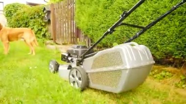 Çim biçme makinesi çimenlerde çalışıyor. Bahçıvan gri yanma motoru çim biçme makinesi ile çim kesme. Çimlerde düşük açı ateş. 