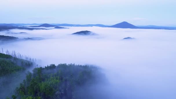 时间流逝。后雨夜的丘陵景观。雾谷贝娄角度充分的乳白色的薄雾。雾正移过树梢的森林。第一个粉红色曙光的黎明色的天空. — 图库视频影像