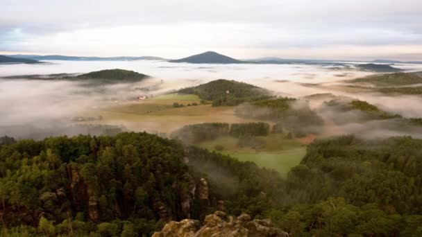 Časová prodleva. Kopcovitá krajina po deštivé noci. Mlhavé údolí řev pohledu plné krémové mlhy. Mlha se pohybuje nad vrcholky stromů lesa. První růžové sunrays rozbřesku barevné nebe. — Stock video