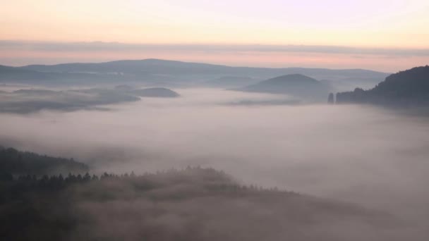 Maravillosa mañana brumosa en la naturaleza. Momento rosa antes del amanecer en el paisaje rocoso montañoso. Los picos de arenisca y las copas de los árboles aumentaron a partir de la niebla cremosa, la niebla azul o rosada. Caducidad — Vídeo de stock