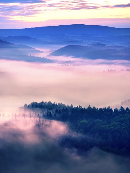 Dreamy misty forest landscape. Majestic peaks of rocks cut lighting mist. Deep valley — Stock Photo, Image