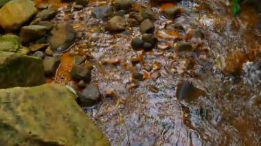 Akış su kırmızı ferrik çökeller tam. Cascade'lerde stream, yosunlu kayalar ve korkunç koku kırmızı çamur. Kabarcık gaz, fern ve ot sapı. Müstehcen imha çevre ve doğa