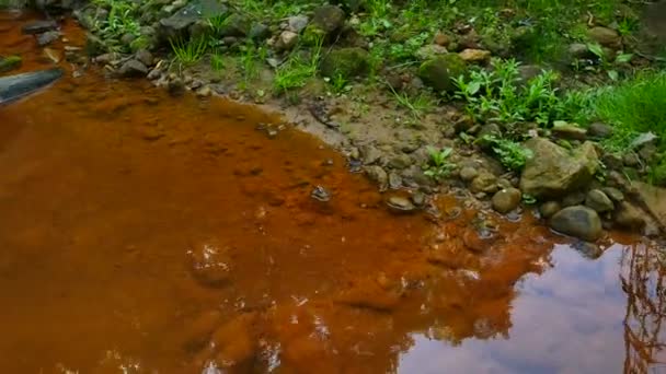 Strumień wody pełny czerwony osadów żelazowych. Kaskady w strumieniu, omszałych głazów i straszny zapach czerwone błoto. Pęcherzyki gazu, szypułka trawa i paproci. Obsceniczne zniszczenie środowiska i przyrody — Wideo stockowe