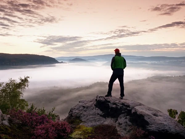 Turistické muž na skále říši hlídá krémové mlhavé ráno valle — Stock fotografie