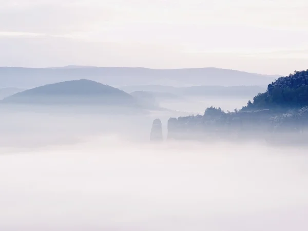 Pink misty mountains. Rock empires  cut creamy fog to strips. Long deep valley — Stock Photo, Image