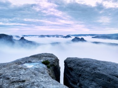 Soğuk sisli sonbahar toprak renkli gölgelerde. Kayalık gulch