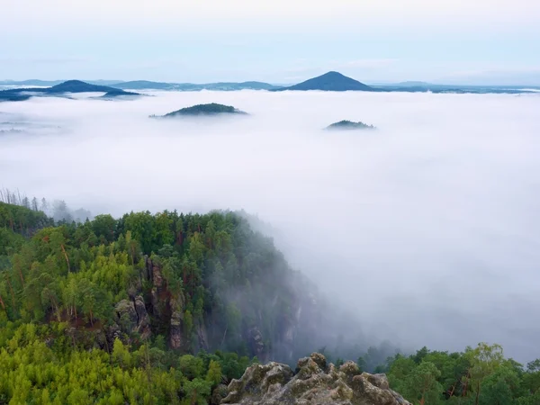 Herrlich schwerer Nebel in der Landschaft. herbstlicher, cremiger Nebel in der Landschaft. Hügel aus Nebel aufgestiegen, — Stockfoto