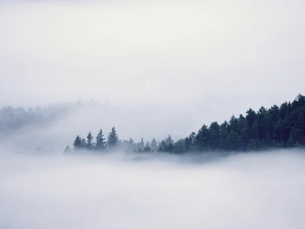 Prachtige zware mist in landschap. Herfst romige mist in platteland. Hill steeg van mist, — Stockfoto