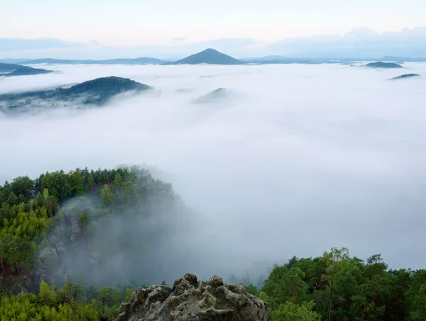 在景观的壮丽大雾。秋天的奶油雾在农村。增加从雾山, — 图库照片