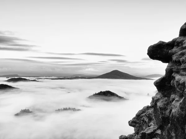 Paisaje brumoso de primavera. Temprano en la mañana en hermosas montañas. Los picos de las colinas aumentaron de la niebla cremosa pesada . —  Fotos de Stock