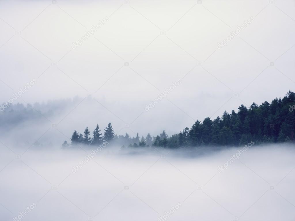 Magnificent heavy mist in landscape. Autumn creamy fog in countryside. Hill increased from fog,