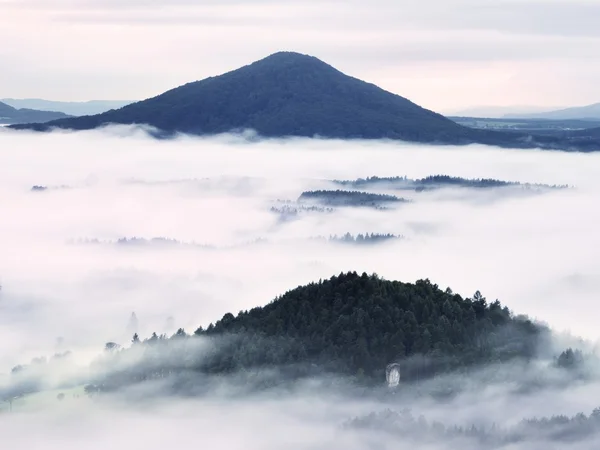 Niebla pesada en el paisaje. Magnífica niebla cremosa de otoño —  Fotos de Stock