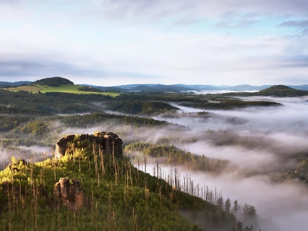 Paesaggio nebbioso di primavera. Mattina in splendide colline di parco naturale . — Foto Stock