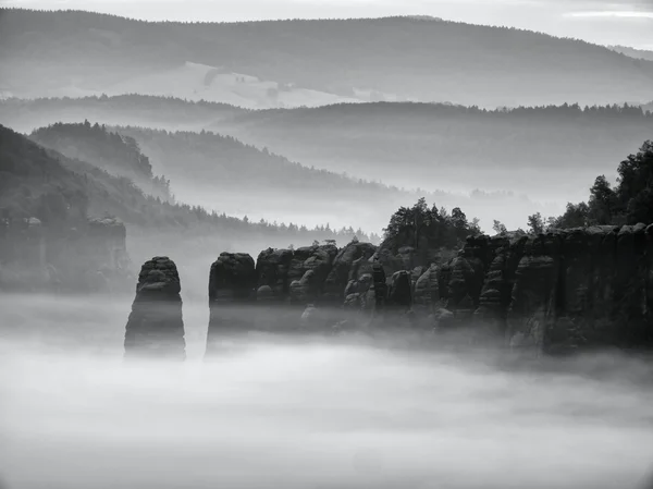 霧の谷に景色とロッキーの山の上に幻想的な日の出。黒と白の写真 — ストック写真