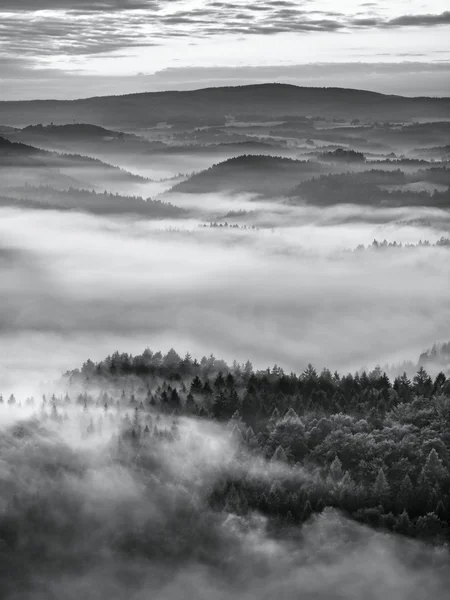 以看法入迷雾笼罩的山谷岩石山顶的奇妙日出。黑白照片 — 图库照片