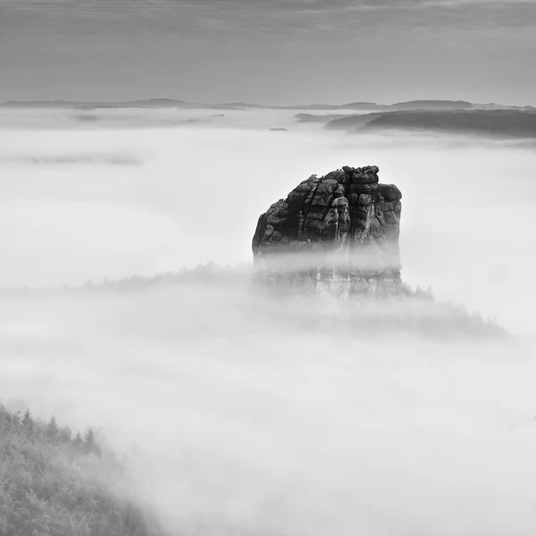 Sharp sandstone rock empire sticking out from heavy fog. Deep misty valley full of creamy mist. Popular climbers resort in autumn look — Stock Photo, Image