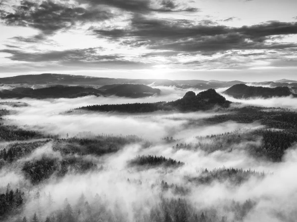 黒と白の写真。霧の夜明けは美しい丘の。丘の山頂が霧の背景から出ています。. — ストック写真