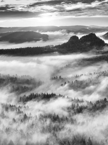 Schwarz-weißer Nebel, Tagesanbruch in wunderschönen Hügeln. Gipfel der Hügel — Stockfoto