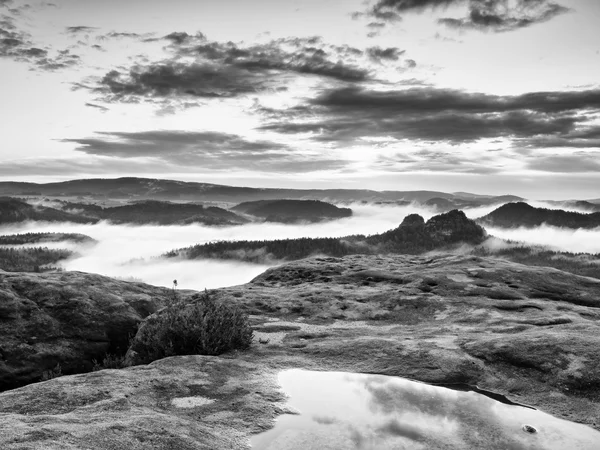 Niebla blanca y negra, amanecer en hermosas colinas. Picos de colinas —  Fotos de Stock