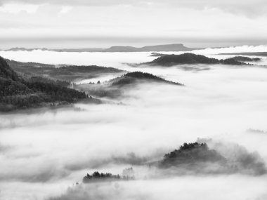 Ağır Sis yatay olarak. Muhteşem sonbahar kremsi sis