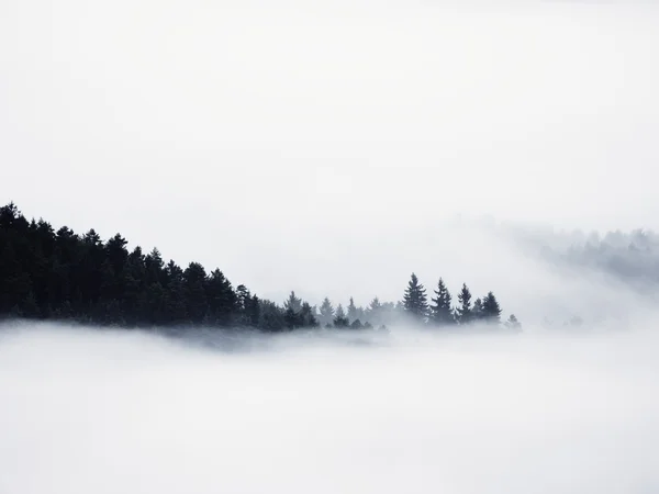 Великолепный тяжелый туман в пейзаже. Осенний сливочный туман в сельской местности. Холм увеличен из тумана , — стоковое фото
