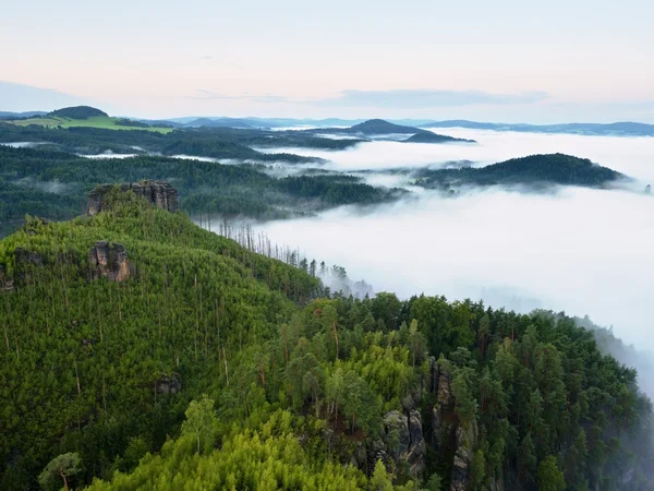 Magnificent heavy mist in landscape. Autumn creamy fog in countryside. Hill increased from fog, — Stock Photo, Image