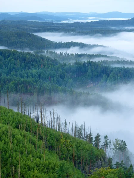 風景の中の壮大な重い霧。田舎の秋のクリーミーな霧。霧から増加の丘, — ストック写真