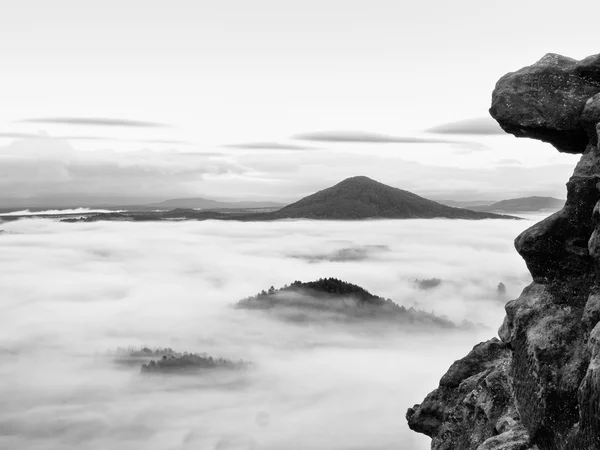 Printemps paysage brumeux. Tôt le matin dans de belles montagnes. Les sommets des collines augmentaient du brouillard épais et crémeux . — Photo