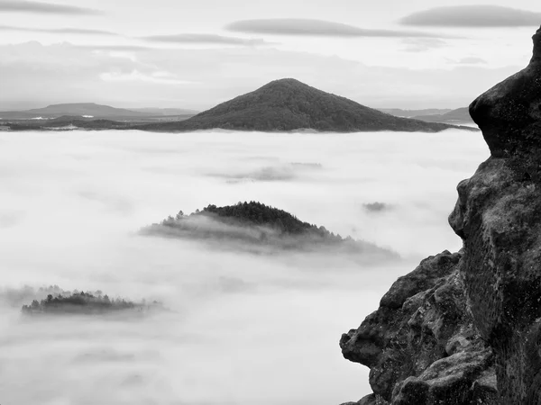 Paisaje brumoso de primavera. Temprano en la mañana en hermosas montañas. Los picos de las colinas aumentaron de la niebla cremosa pesada . — Foto de Stock