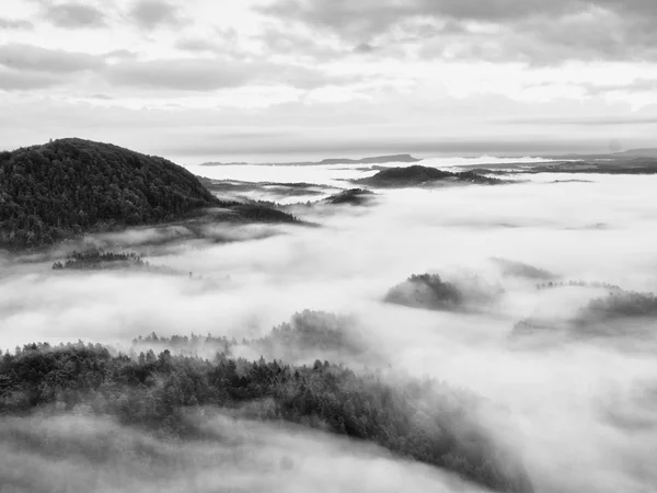 Ciężkich mgła w krajobraz. Wspaniałe jesienne mgły kremowy — Zdjęcie stockowe