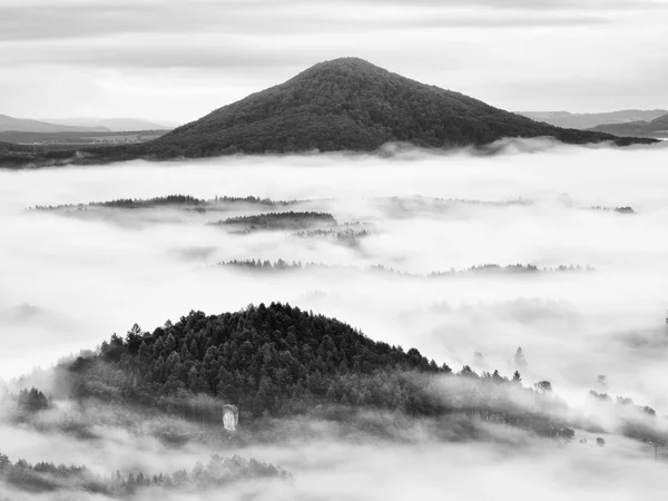 Heavy mist in landscape. Magnificent  autumn creamy fog — Stock Photo, Image