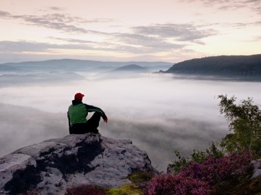 Adam turist sit rock İmparatorluğu'na. Heather ve dalları ile nokta puslu Vadisi görüntüleyin. Rocky Dağları'nda güneşli gün doğumuna.