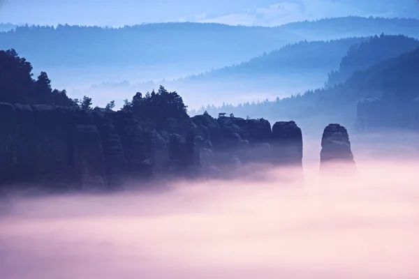Misty melancholy daybreak in beautiful fairy valley. Peaks of rock trim creamy foggy clouds — Stock Photo, Image