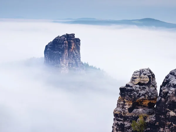 Sharp sandstone rock empire sticking out from heavy fog. Deep misty valley — Stock Photo, Image