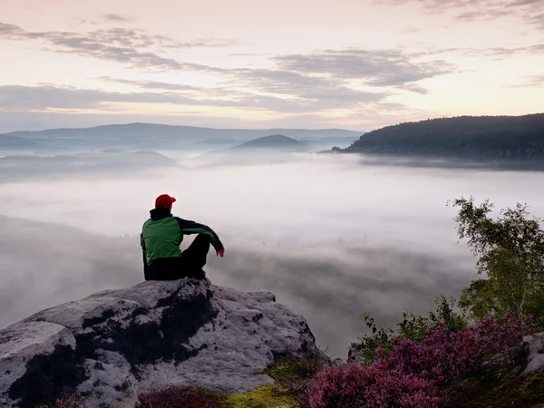 Turistické muž sedí na rock empire. Vyhlídka s heather a větvemi nad mlhavé údolí. Slunečné svítání v rocky mountains. — Stock fotografie