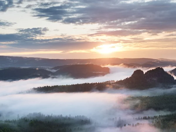 Summer sunrise forest after heavy rain. Beautiful mountain within inversion. — Stock Photo, Image