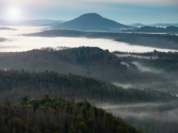 Mlhavá Temná Lesní Krajina Úsvitu Vrcholu Hustá Mlha Výhled Lesní — Stock fotografie