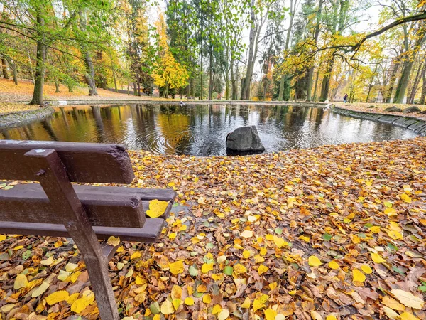 Wooden Bench Hidden Autumn Colorful Forest Pond Bank Bright Leaves — Stock Photo, Image